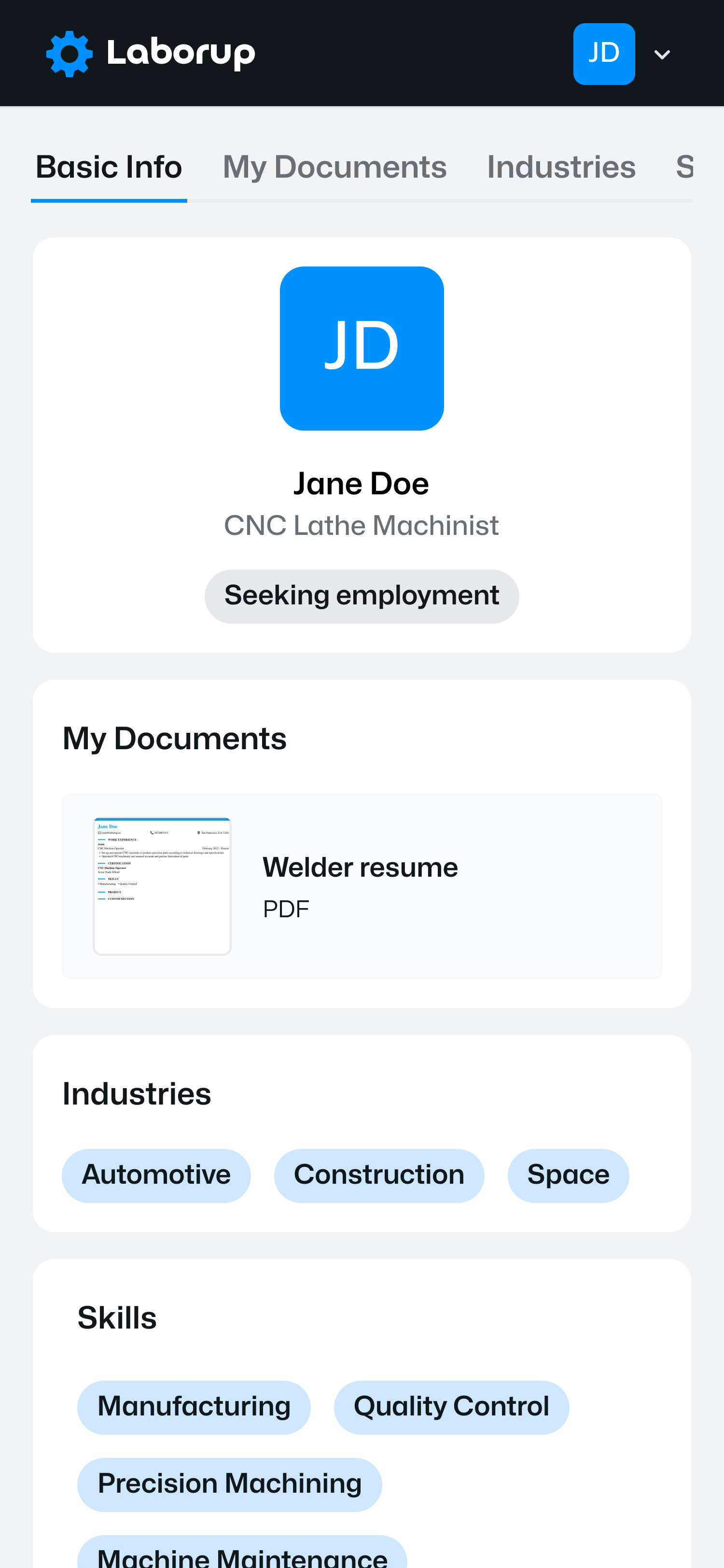 Portfolio project preview